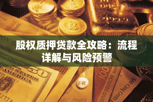 武汉股权质押贷款全攻略：流程详解与风险预警