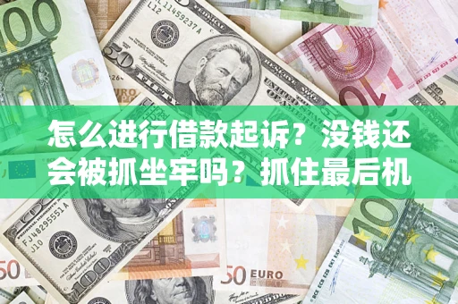 武汉怎么进行借款起诉？没钱还会被抓坐牢吗？抓住最后机会！
