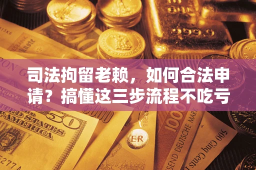 武汉司法拘留老赖，如何合法申请？搞懂这三步流程不吃亏！