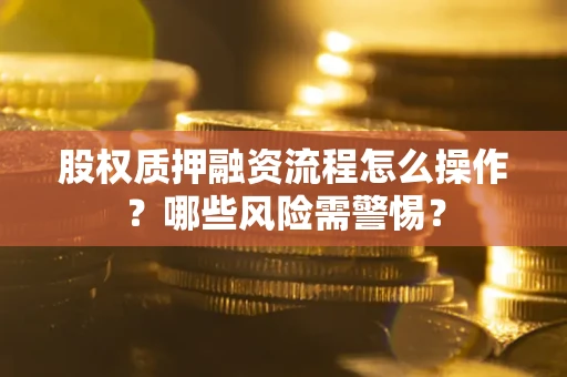 武汉股权质押融资流程怎么操作？哪些风险需警惕？