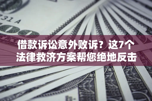 武汉借款诉讼意外败诉？这7个法律救济方案帮您绝地反击！