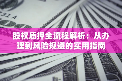 武汉股权质押全流程解析：从办理到风险规避的实用指南