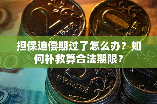 武汉担保追偿期过了怎么办？如何补救算合法期限？