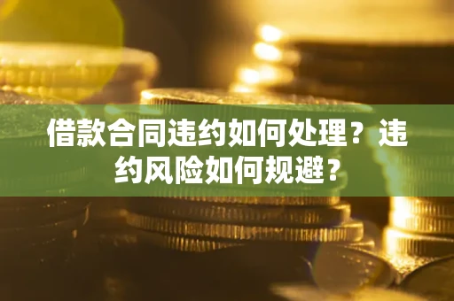武汉借款合同违约如何处理？违约风险如何规避？