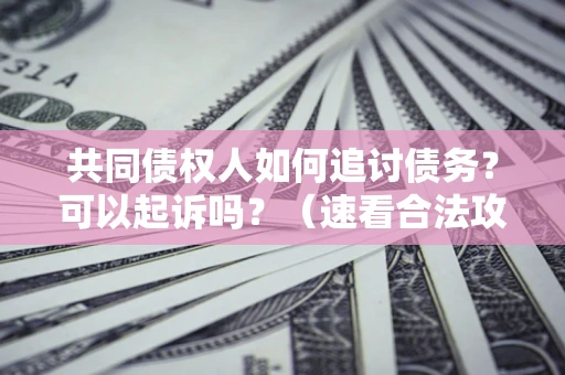 武汉共同债权人如何追讨债务？可以起诉吗？（速看合法攻略）