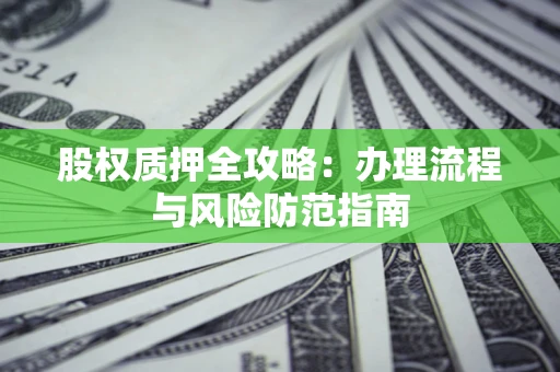 武汉股权质押全攻略：办理流程与风险防范指南