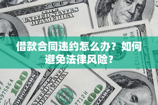 武汉借款合同违约怎么办？如何避免法律风险？