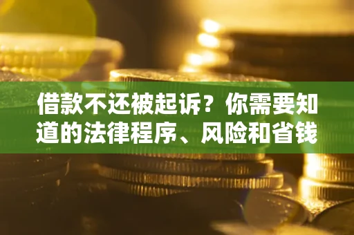 武汉借款不还被起诉？你需要知道的法律程序、风险和省钱技巧