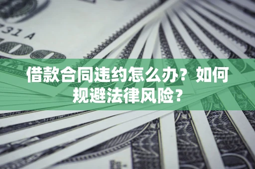 武汉借款合同违约怎么办？如何规避法律风险？